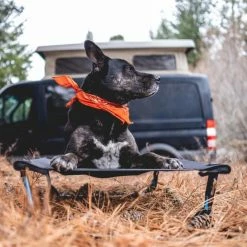Helinox Elevated Dog Cot - Medium (Fall 2022) 10 Helinox Elevated Dog Cot - Medium (Fall 2022) -Scarpa Sales helinox vanlife dog cot 600x 800x 9a70c463 4f67 4a19 b51f 4d3433991b27 800x800 rsz 32155.1646680882